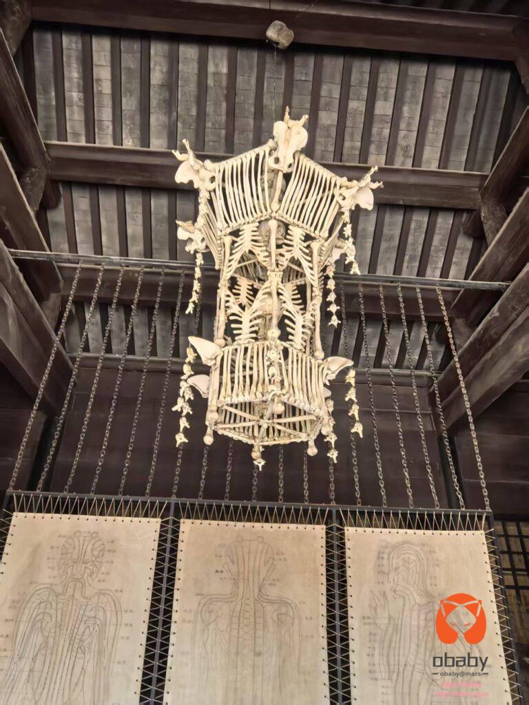 微信图片_202505051051564